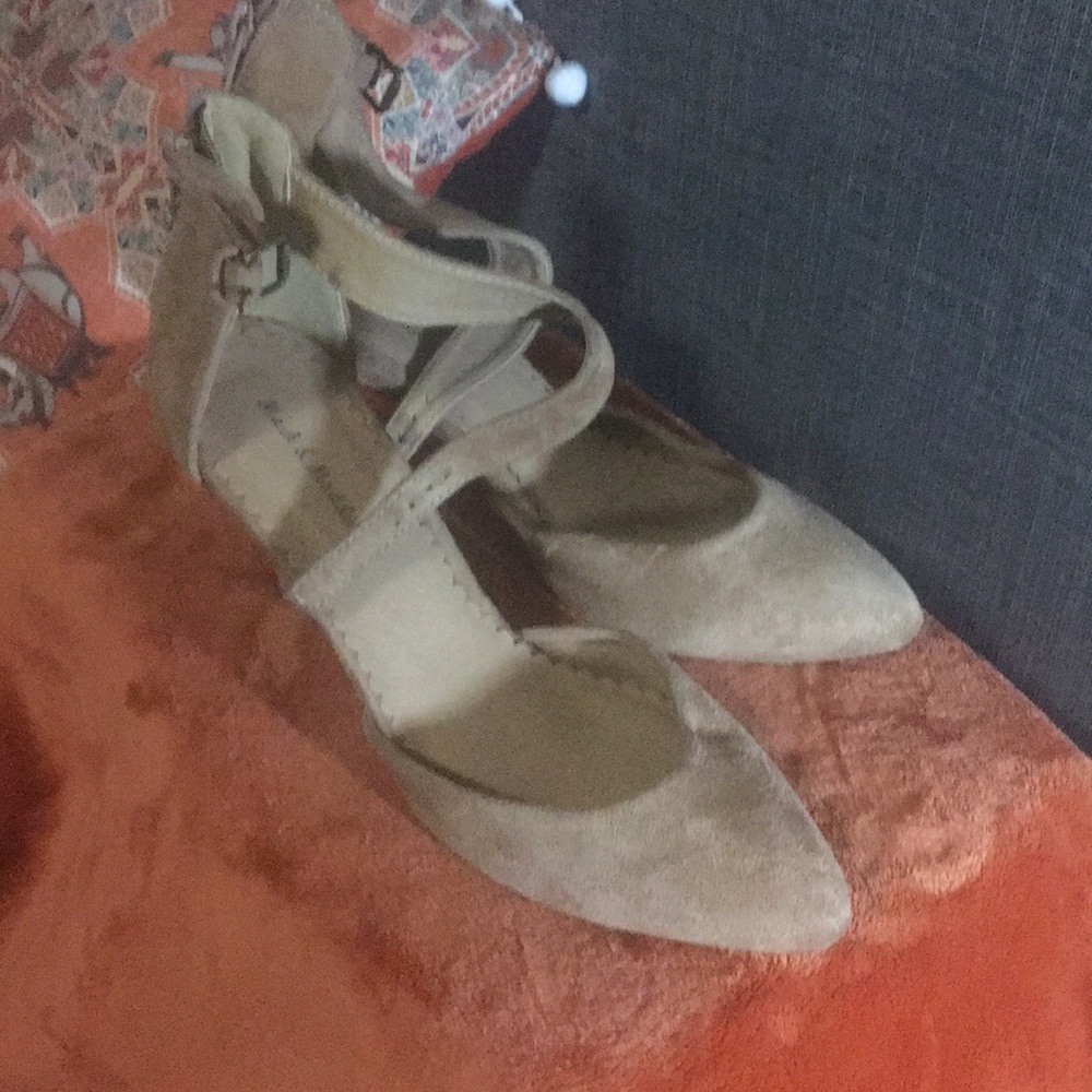 Pointy toe shoe